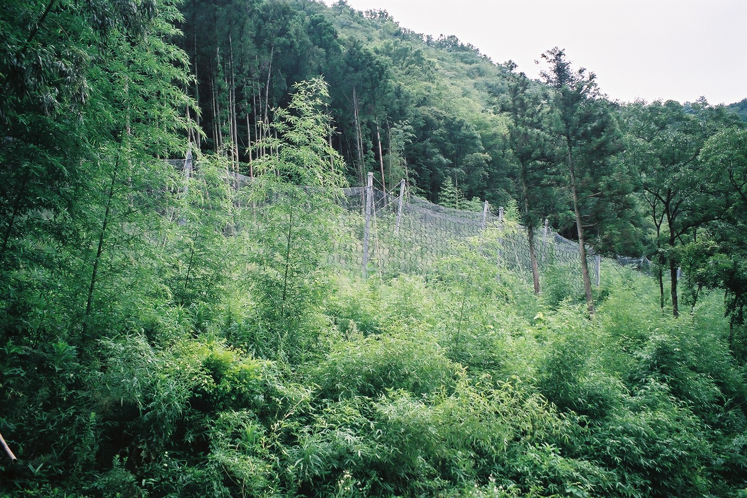 主要県道美東秋吉西寺線道路災害防除