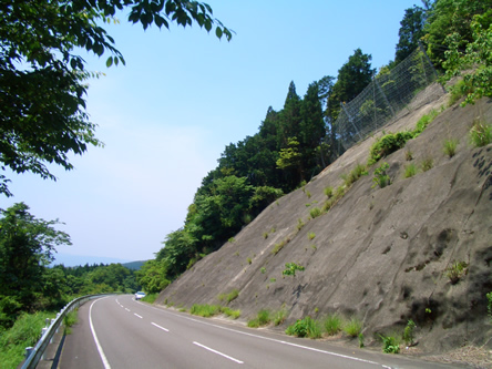 道路災害防除工事（多々良石工区）