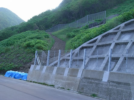 奥尻島線災害防除工事（ホヤ石）繰越