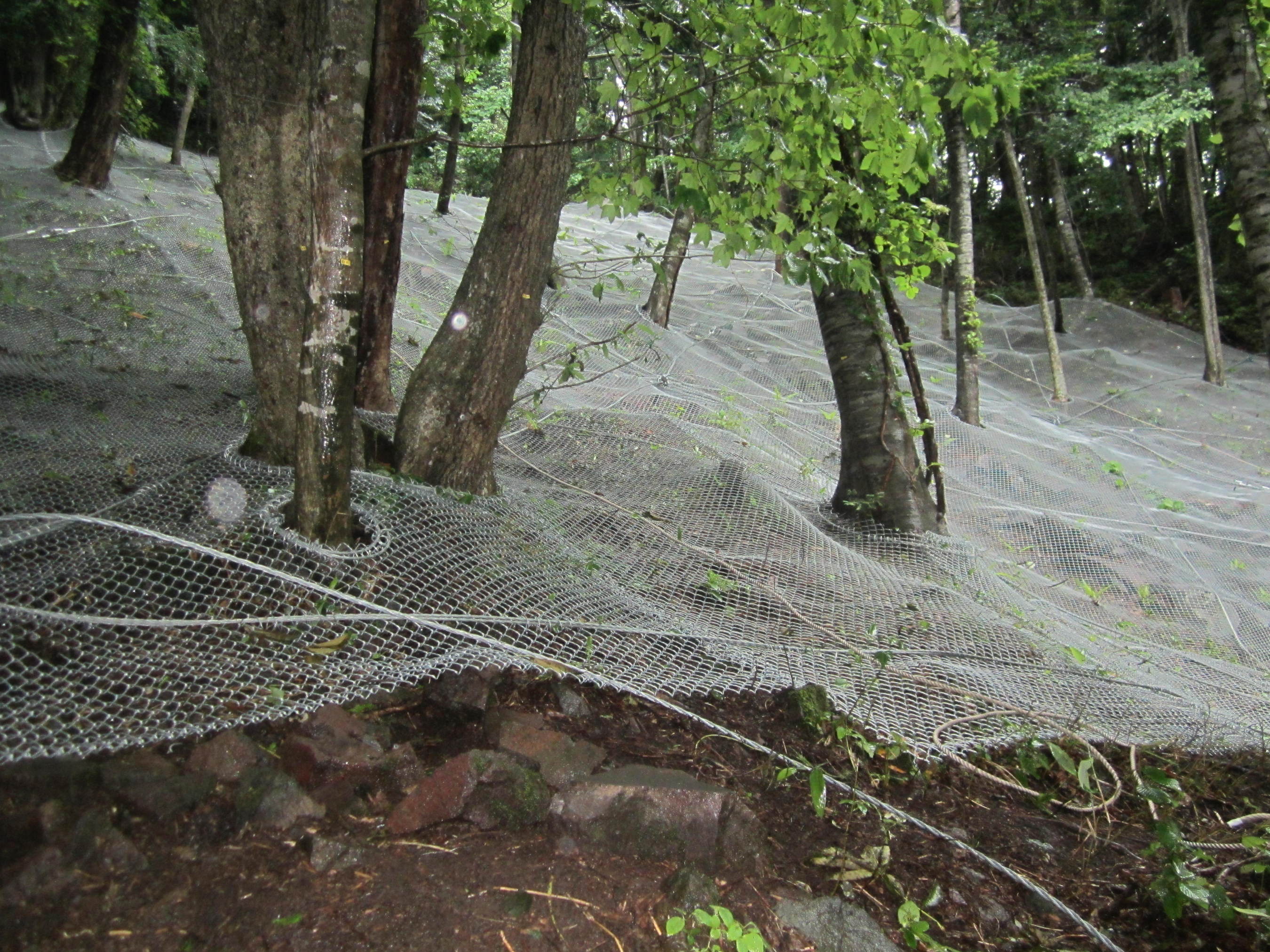 礼文華地区復旧治山工事