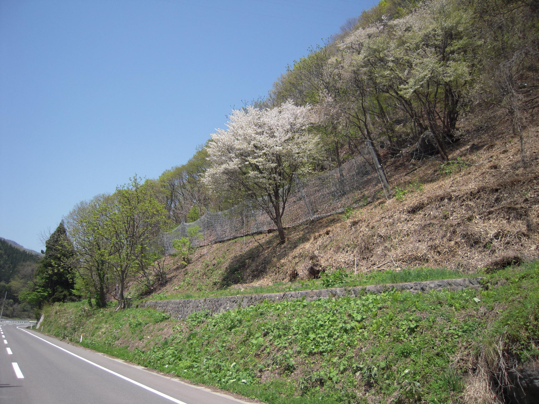 平成21年度 道路総合防災工事