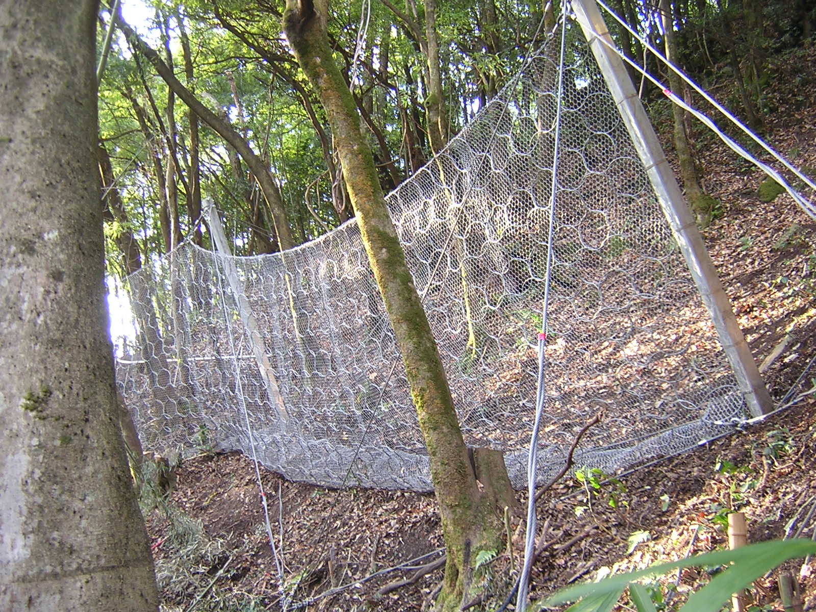 山崎地区予防治山工事