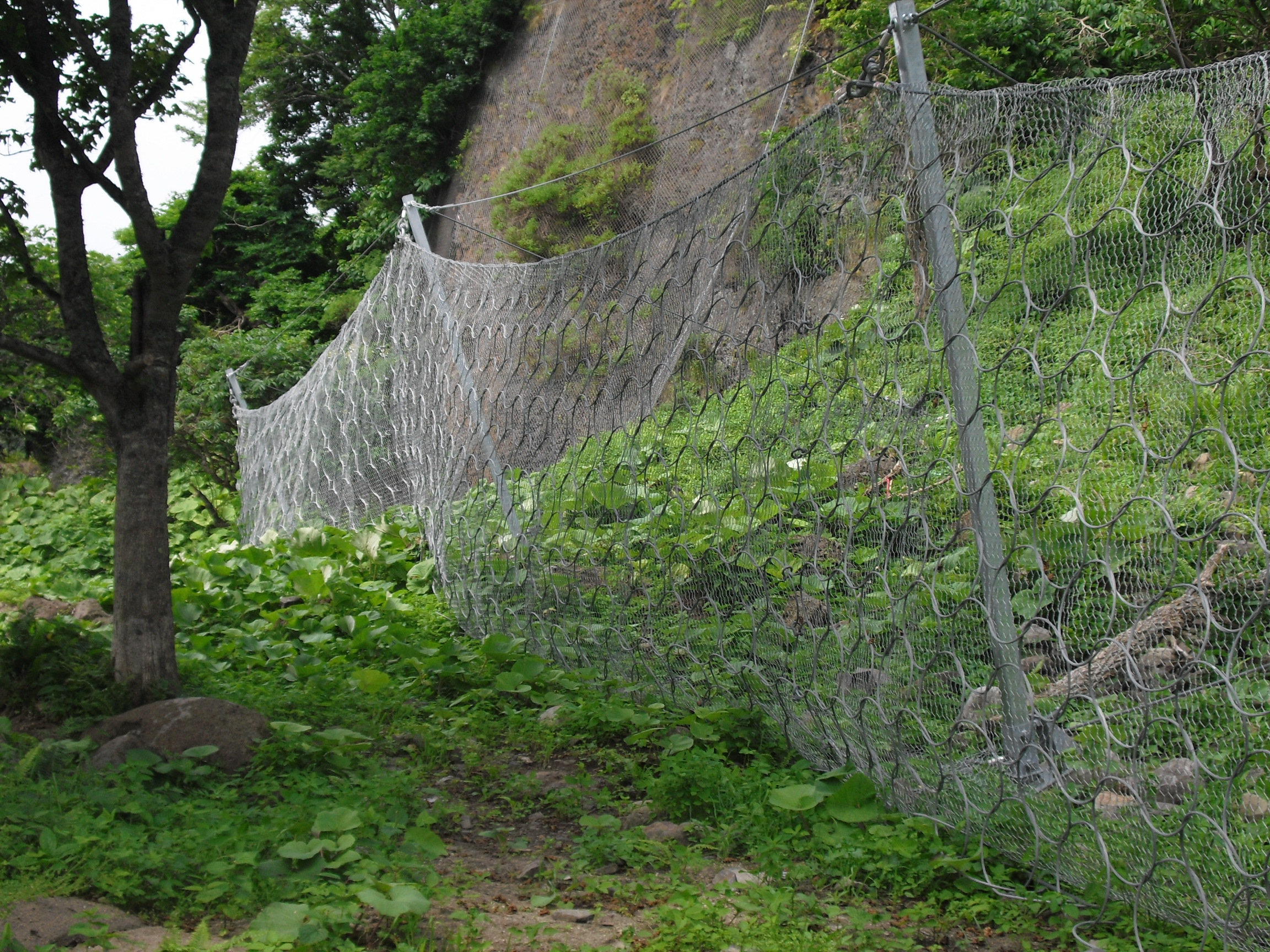 海岸町地区2山地災害総合減災対策治山工事