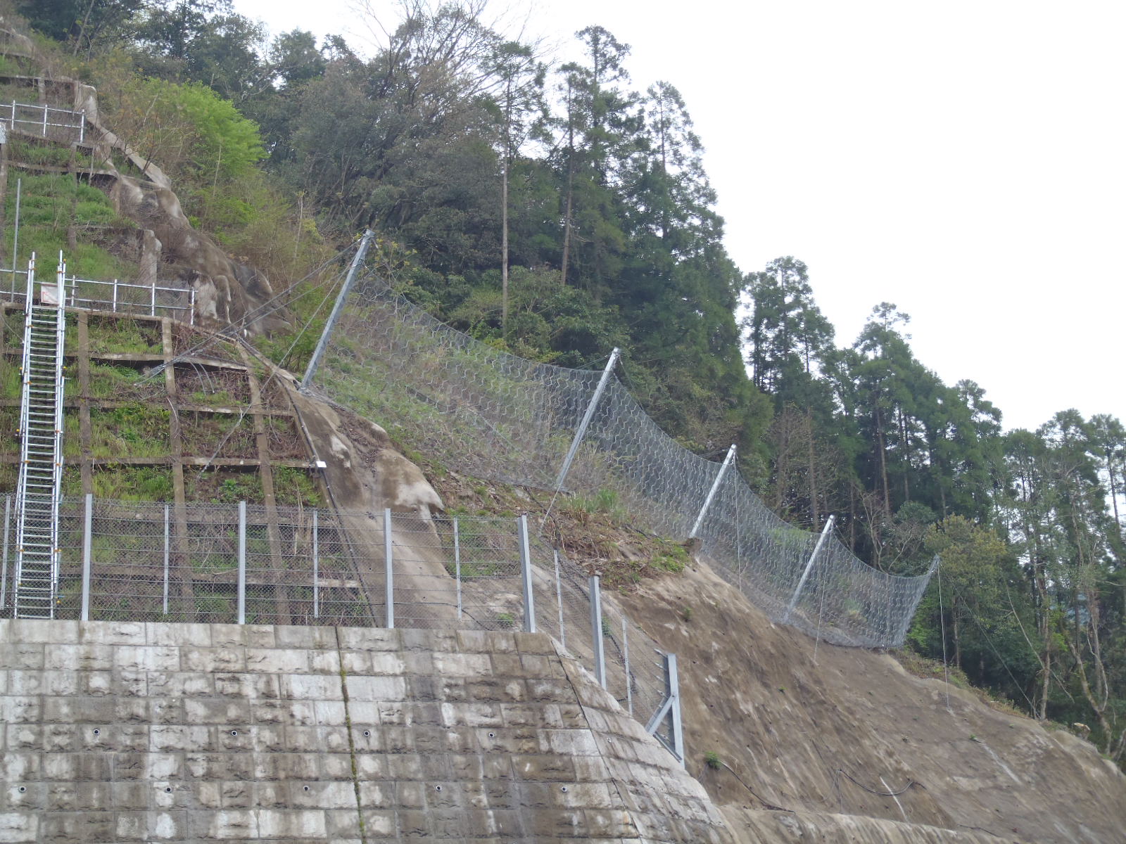 大山ダム建設工事（落石防護柵B)