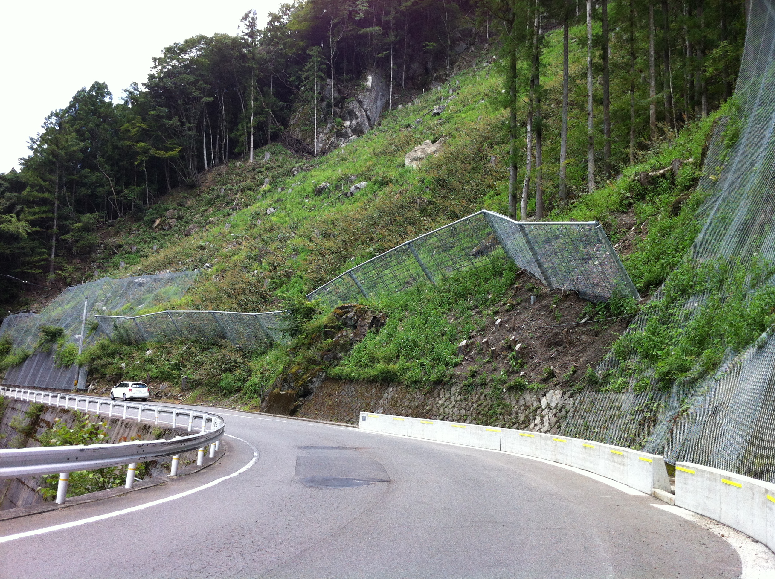 H23那土 国道１９５号那賀・木頭折宇 落石対策工事（３）