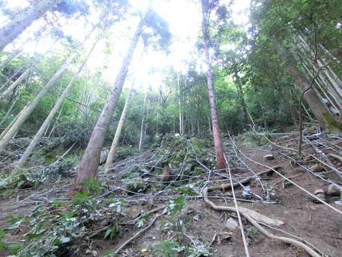 田原谷地区急傾斜地崩壊対策工事（転石対策）