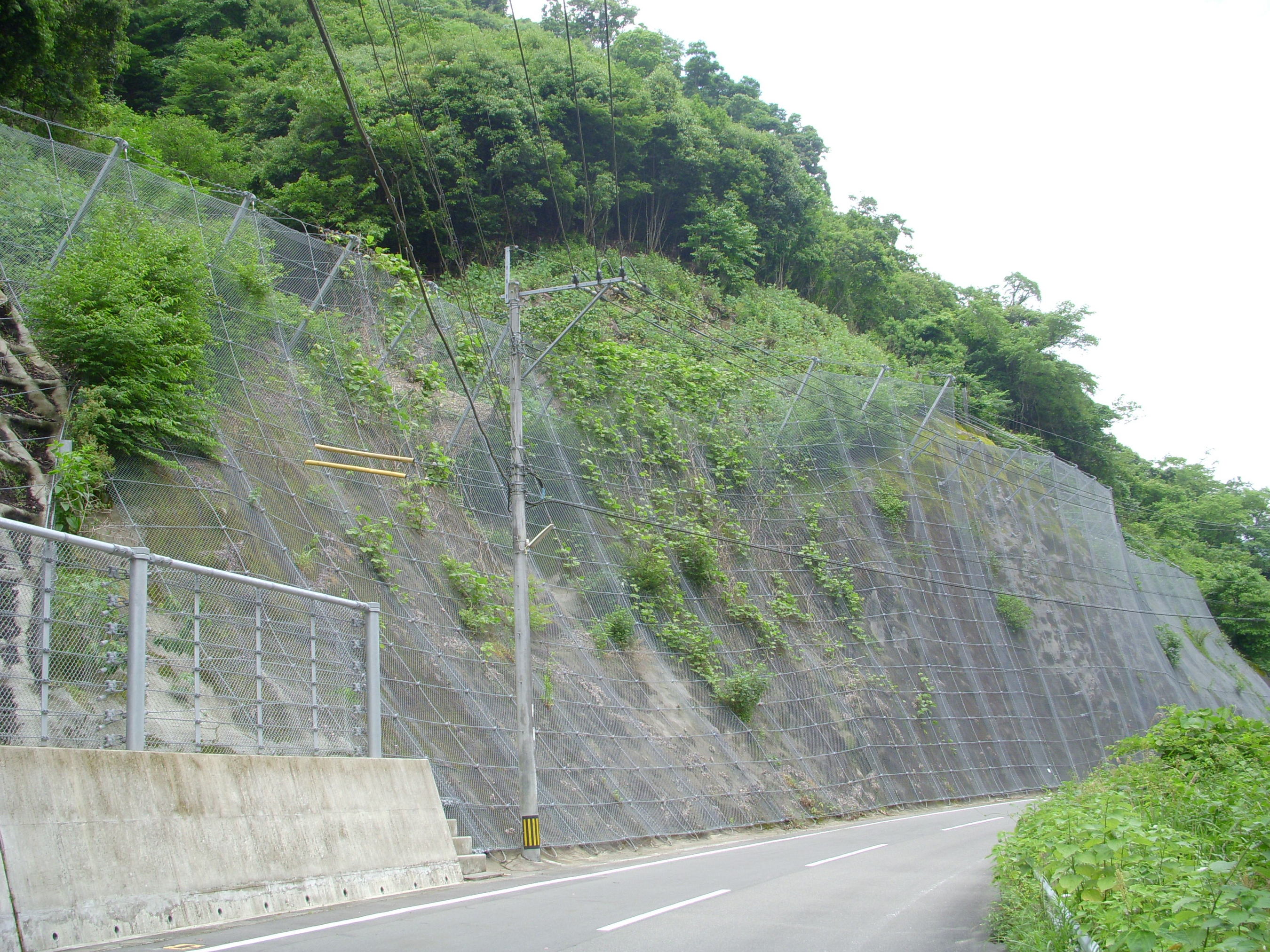 坂本人吉線緊急地方道路整備工事