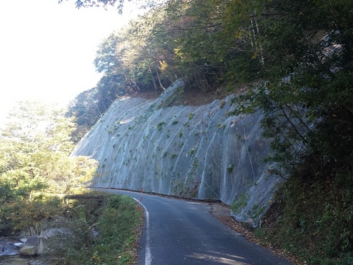 県道大谷曹源寺線（大谷工区）災害防除工事（１工区）（交付金）（経済対策）