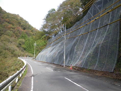 県道岩美八東線（落岩A511工区外）道路災害防除工事（交付金防災）