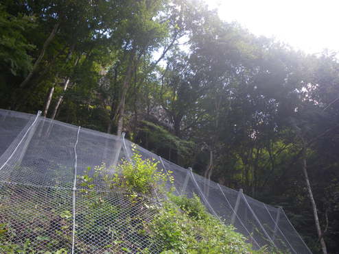 補助公共 社会資本総合整備（防災・安全） （地方道防災） 一般県道 小平下仁田線船子工区