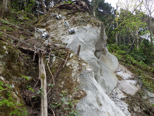 離予第３-１号 離島予防治山工事