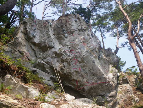 主要地方道重茂半島線川代地区落石対策工事