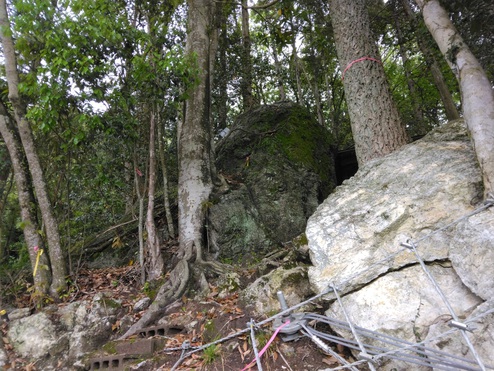 急傾一般大第5002-2-001号（急）横畑地区 急傾斜地崩壊対策工事（２工区）