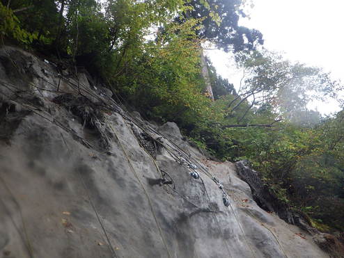 立山有料道路 防災改築 落石防止工　工事