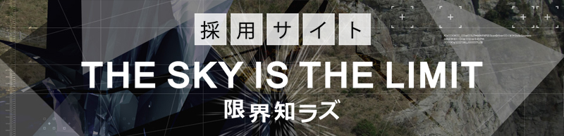 採用サイト THE SKY IS THE LIMIT 限界知ラズ